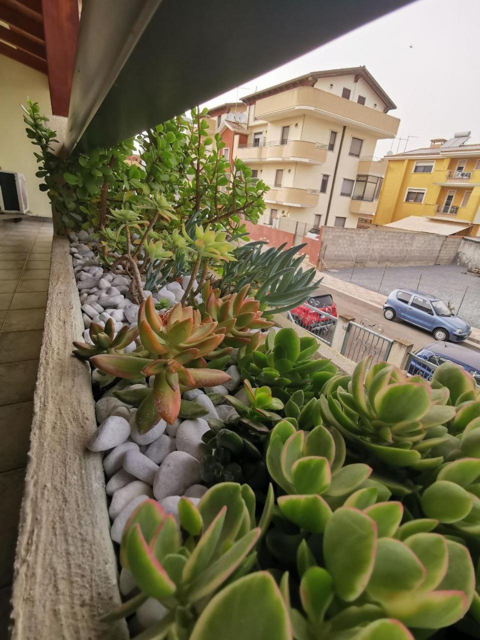 Le Magnolie Apartment
